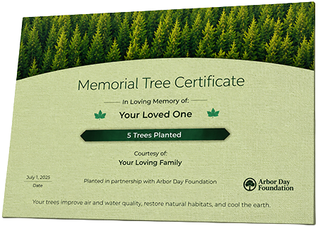 Plant Trees in Memory of Mr. John Douglas Harrison, Jr.